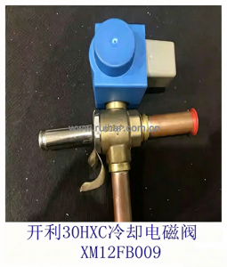 开利空调配件 30hxchxy螺杆机电机冷却电磁阀xm12fb009 xm12fb008