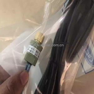 开利空调配件 30rbrq风冷模块机h20ps型 高压开关 00ppy150001200